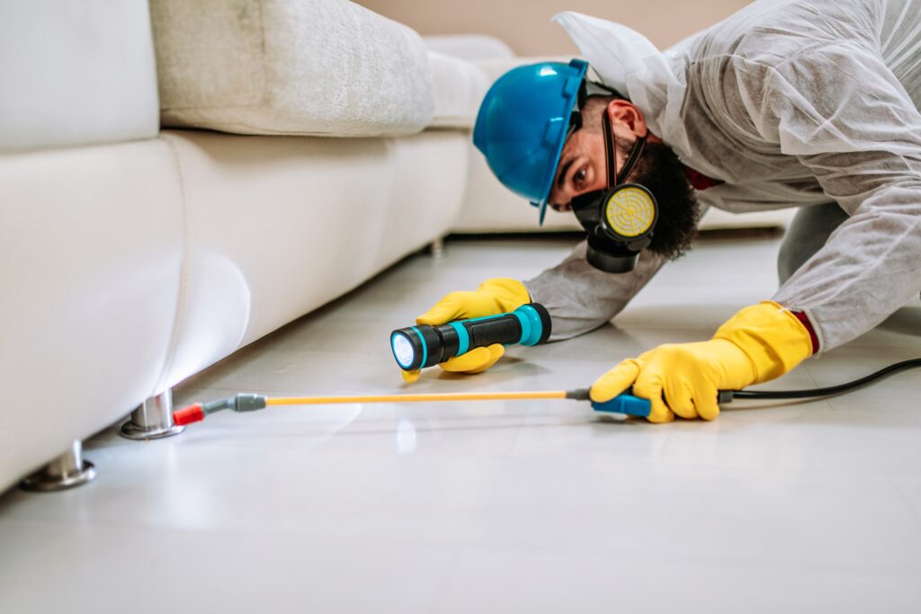 Elyria Termite Control