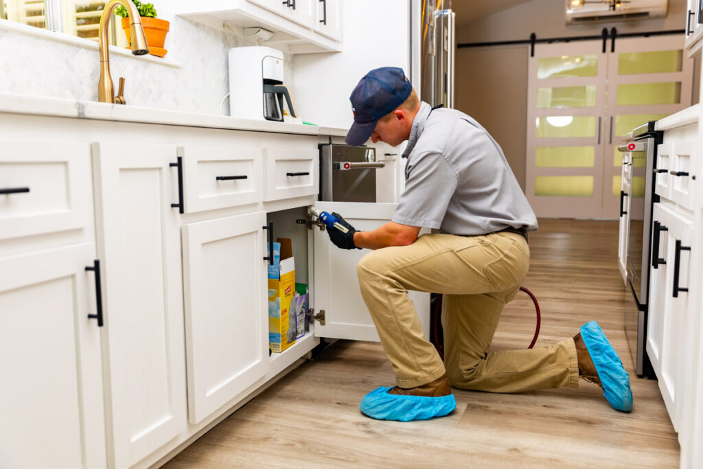 Elyria xpert pest management